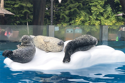 珠海長隆企鵝酒店1晚+海洋國